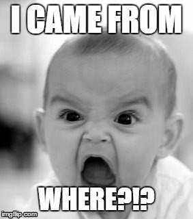 Angry Baby Meme | I CAME FROM WHERE?!? | image tagged in memes,angry baby | made w/ Imgflip meme maker