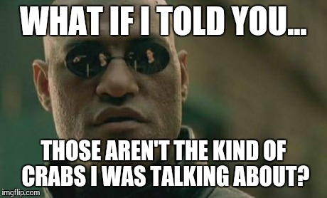 Matrix Morpheus | WHAT IF I TOLD YOU... THOSE AREN'T THE KIND OF CRABS I WAS TALKING ABOUT? | image tagged in memes,matrix morpheus | made w/ Imgflip meme maker