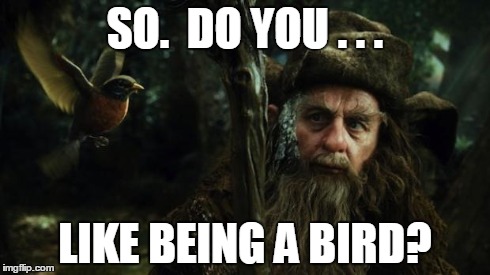 little preparation next time, Radagast. | SO.  DO YOU . . . LIKE BEING A BIRD? | image tagged in radagast,birds,animals,lotr,the hobbit,wizard | made w/ Imgflip meme maker