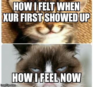 HOW I FELT WHEN XUR FIRST SHOWED UP HOW I FEEL NOW | image tagged in kittys | made w/ Imgflip meme maker