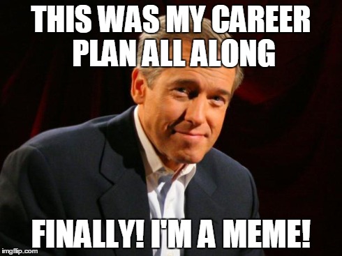 brian williams | THIS WAS MY CAREER PLAN ALL ALONG FINALLY! I'M A MEME! | image tagged in brian williams | made w/ Imgflip meme maker