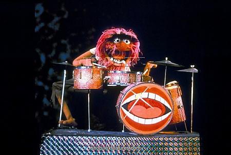 High Quality Animal on drums Blank Meme Template