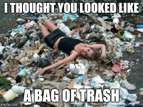 I THOUGHT YOU LOOKED LIKE A BAG OF TRASH | image tagged in dream girl | made w/ Imgflip meme maker