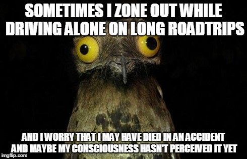 Weird Stuff I Do Potoo Meme | SOMETIMES I ZONE OUT WHILE DRIVING ALONE ON LONG ROADTRIPS AND I WORRY THAT I MAY HAVE DIED IN AN ACCIDENT AND MAYBE MY CONSCIOUSNESS HASN'T | image tagged in memes,weird stuff i do potoo,AdviceAnimals | made w/ Imgflip meme maker