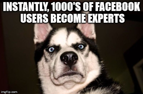 Experts | INSTANTLY, 1000'S OF FACEBOOK USERS BECOME EXPERTS | image tagged in experts,dog | made w/ Imgflip meme maker