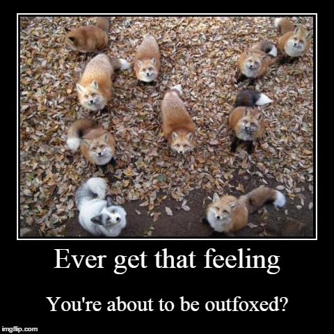 Outfoxed | image tagged in funny,demotivationals | made w/ Imgflip demotivational maker