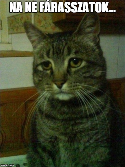 Depressed Cat Meme | NA NE FÁRASSZATOK... | image tagged in memes,depressed cat | made w/ Imgflip meme maker