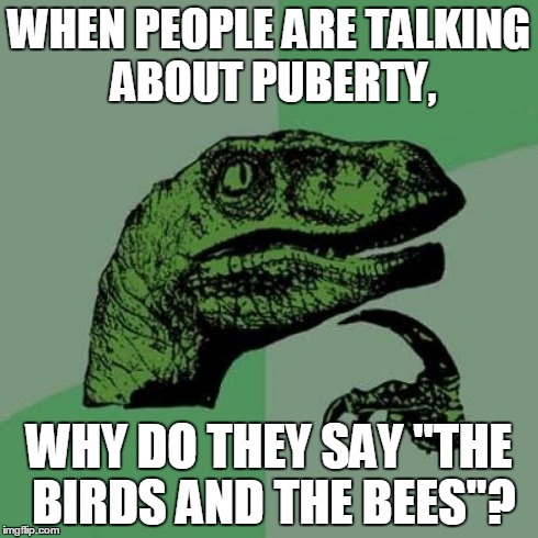 Philosoraptor | WHEN PEOPLE ARE TALKING ABOUT PUBERTY, WHY DO THEY SAY "THE BIRDS AND THE BEES"? | image tagged in memes,philosoraptor | made w/ Imgflip meme maker