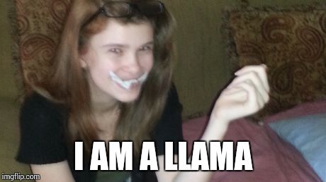 I AM A LLAMA | made w/ Imgflip meme maker