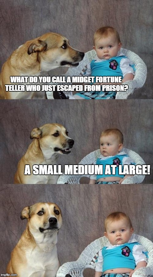 Dad Joke Dog | WHAT DO YOU CALL A MIDGET FORTUNE TELLER WHO JUST ESCAPED FROM PRISON? A SMALL MEDIUM AT LARGE! | image tagged in memes,dad joke dog | made w/ Imgflip meme maker
