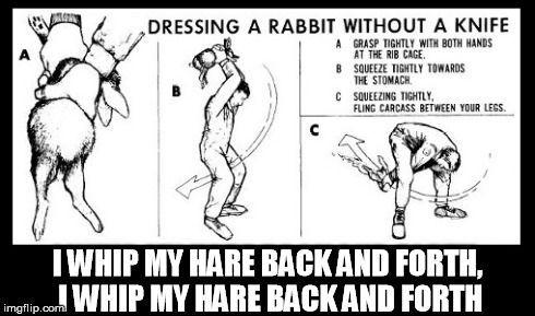 I WHIP MY HARE BACK AND FORTH, I WHIP MY HARE BACK AND FORTH | image tagged in meme,hare,rabbits,willow smith | made w/ Imgflip meme maker