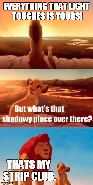 Simba Shadowy Place | EVERYTHING THAT LIGHT TOUCHES IS YOURS! THATS MY STRIP CLUB. | image tagged in memes,simba shadowy place | made w/ Imgflip meme maker