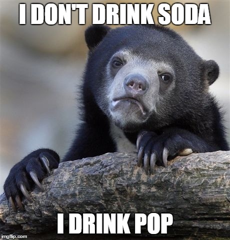 Confession Bear Meme | I DON'T DRINK SODA I DRINK POP | image tagged in memes,confession bear | made w/ Imgflip meme maker