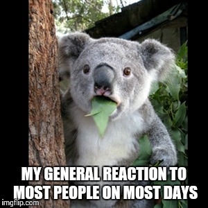 They amaze me | MY GENERAL REACTION TO MOST PEOPLE ON MOST DAYS | image tagged in koala,surprised koala,funny memes,funny,stupid people | made w/ Imgflip meme maker