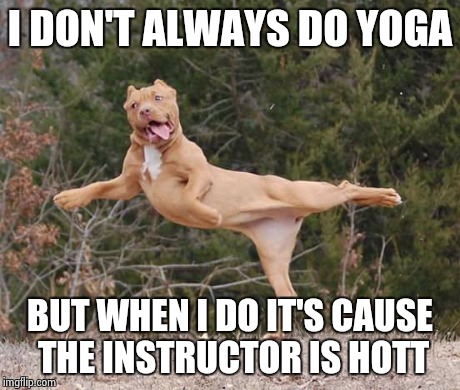 Doggie Yoga | I DON'T ALWAYS DO YOGA BUT WHEN I DO IT'S CAUSE THE INSTRUCTOR IS HOTT | image tagged in yoga,dogs,funny,workout,sexy,pitbull family | made w/ Imgflip meme maker