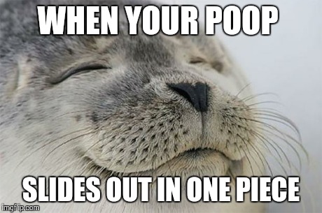 Satisfied Seal | WHEN YOUR POOP SLIDES OUT IN ONE PIECE | image tagged in memes,satisfied seal,AdviceAnimals | made w/ Imgflip meme maker
