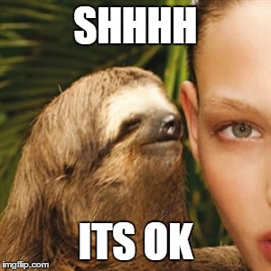 Whisper Sloth Meme | SHHHH ITS OK | image tagged in memes,whisper sloth | made w/ Imgflip meme maker