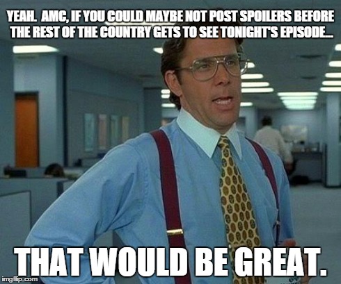 That Would Be Great Meme | YEAH.  AMC, IF YOU COULD MAYBE NOT POST SPOILERS BEFORE THE REST OF THE COUNTRY GETS TO SEE TONIGHT'S EPISODE... THAT WOULD BE GREAT. | image tagged in memes,that would be great | made w/ Imgflip meme maker
