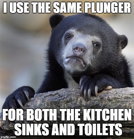 Confession Bear Meme | I USE THE SAME PLUNGER FOR BOTH THE KITCHEN SINKS AND TOILETS | image tagged in memes,confession bear,AdviceAnimals | made w/ Imgflip meme maker