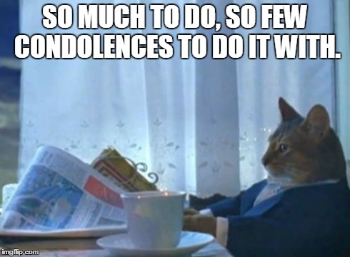 I Should Buy A Boat Cat Meme | SO MUCH TO DO, SO FEW CONDOLENCES TO DO IT WITH. | image tagged in memes,i should buy a boat cat | made w/ Imgflip meme maker