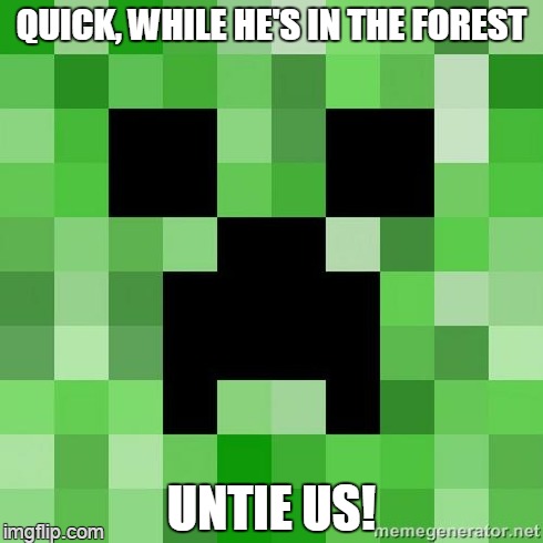 that creep | QUICK, WHILE HE'S IN THE FOREST UNTIE US! | image tagged in creeper | made w/ Imgflip meme maker