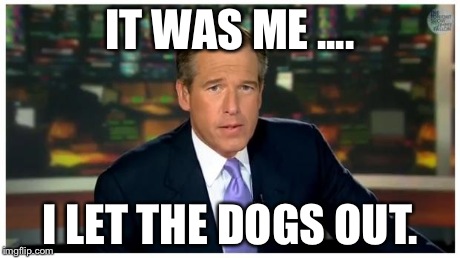 Brian Williams Let the dogs out | IT WAS ME .... I LET THE DOGS OUT. | image tagged in brian williams | made w/ Imgflip meme maker