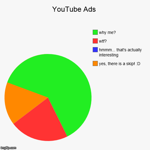 YouTube Ads | yes, there is a skip! :D, hmmm... that's actually interesting, wtf?, why me? | image tagged in funny,pie charts | made w/ Imgflip chart maker