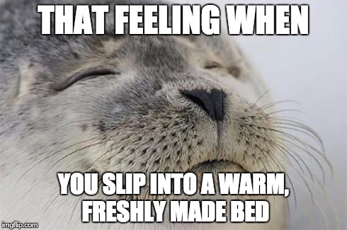 Satisfied Seal Meme | THAT FEELING WHEN YOU SLIP INTO A WARM, FRESHLY MADE BED | image tagged in memes,satisfied seal | made w/ Imgflip meme maker