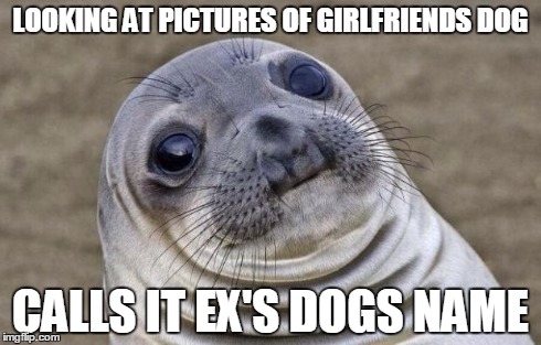 Awkward Moment Sealion | LOOKING AT PICTURES OF GIRLFRIENDS DOG CALLS IT EX'S DOGS NAME | image tagged in memes,awkward moment sealion,AdviceAnimals | made w/ Imgflip meme maker