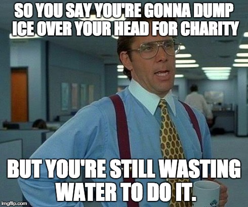 That Would Be Great Meme | SO YOU SAY YOU'RE GONNA DUMP ICE OVER YOUR HEAD FOR CHARITY BUT YOU'RE STILL WASTING WATER TO DO IT. | image tagged in memes,that would be great | made w/ Imgflip meme maker