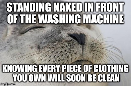Satisfied Seal | STANDING NAKED IN FRONT OF THE WASHING MACHINE KNOWING EVERY PIECE OF CLOTHING YOU OWN WILL SOON BE CLEAN | image tagged in memes,satisfied seal | made w/ Imgflip meme maker