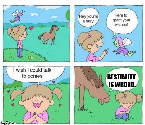 Talk to Ponies | BESTIALITY IS WRONG. | image tagged in talk to ponies | made w/ Imgflip meme maker