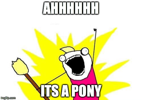 X All The Y | AHHHHHH ITS A PONY | image tagged in memes,x all the y | made w/ Imgflip meme maker