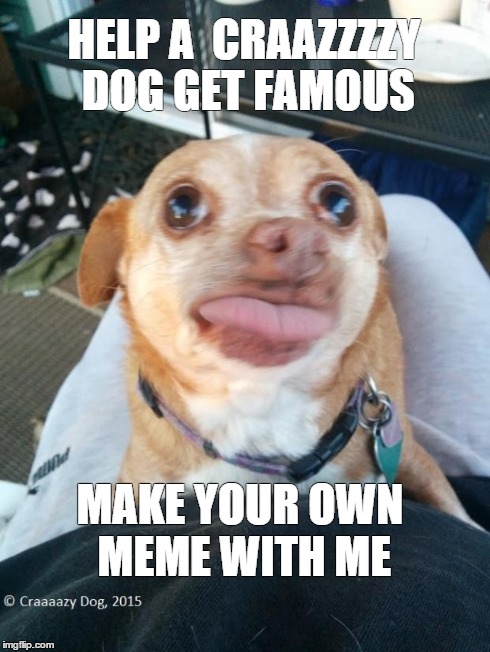 HELP A CRAAZZZZY DOGGET FAMOUS MAKE YOUR OWN MEME WITH ME | image tagged in help,dogs,tongue | made w/ Imgflip meme maker