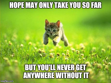 Hope | HOPE MAY ONLY TAKE YOU SO FAR BUT YOU'LL NEVER GET ANYWHERE WITHOUT IT | image tagged in cats,hope | made w/ Imgflip meme maker
