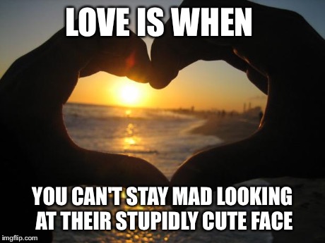 love | LOVE IS WHEN YOU CAN'T STAY MAD LOOKING AT THEIR STUPIDLY CUTE FACE | image tagged in love | made w/ Imgflip meme maker