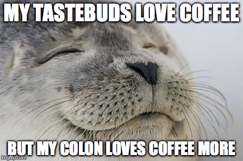 Satisfied Seal | MY TASTEBUDS LOVE COFFEE BUT MY COLON LOVES COFFEE MORE | image tagged in memes,satisfied seal | made w/ Imgflip meme maker