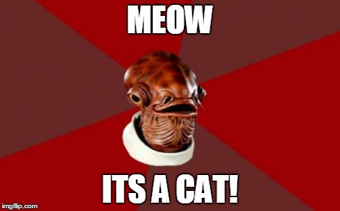 Admiral Ackbar Relationship Expert | MEOW ITS A CAT! | image tagged in memes,admiral ackbar relationship expert | made w/ Imgflip meme maker