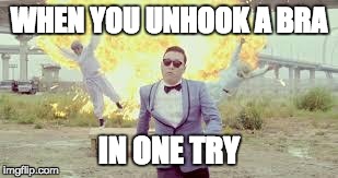 WHEN YOU UNHOOK A BRA IN ONE TRY | image tagged in boss status | made w/ Imgflip meme maker