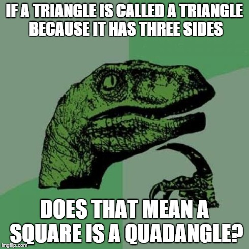 Philosoraptor Meme | IF A TRIANGLE IS CALLED A TRIANGLE BECAUSE IT HAS THREE SIDES DOES THAT MEAN A SQUARE IS A QUADANGLE? | image tagged in memes,philosoraptor | made w/ Imgflip meme maker
