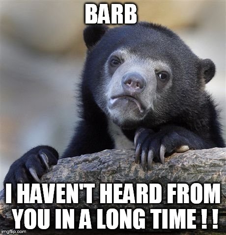 Confession Bear | BARB I HAVEN'T HEARD FROM YOU IN A LONG TIME ! ! | image tagged in memes,confession bear | made w/ Imgflip meme maker