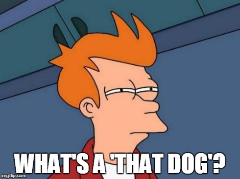 Futurama Fry Meme | WHAT'S A 'THAT DOG'? | image tagged in memes,futurama fry | made w/ Imgflip meme maker