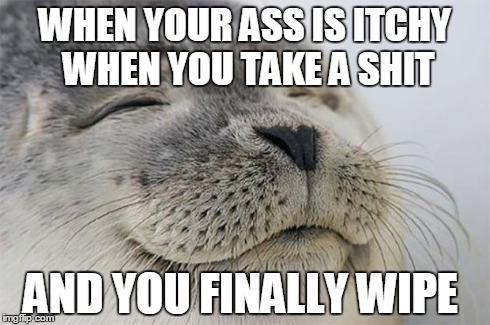 Satisfied Seal | WHEN YOUR ASS IS ITCHY WHEN YOU TAKE A SHIT AND YOU FINALLY WIPE | image tagged in memes,satisfied seal,AdviceAnimals | made w/ Imgflip meme maker