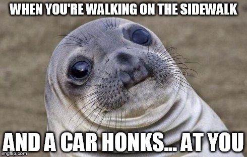 Awkward Moment Sealion | WHEN YOU'RE WALKING ON THE SIDEWALK AND A CAR HONKS... AT YOU | image tagged in memes,awkward moment sealion | made w/ Imgflip meme maker