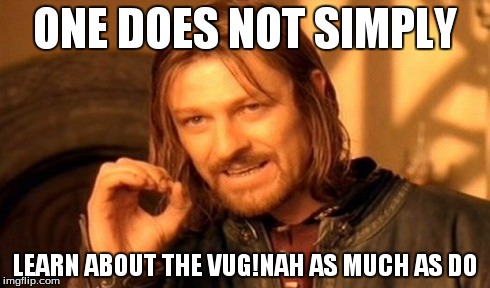 One Does Not Simply Meme | ONE DOES NOT SIMPLY LEARN ABOUT THE VUG!NAH AS MUCH AS DO | image tagged in memes,one does not simply | made w/ Imgflip meme maker