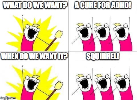 What Do We Want Meme | WHAT DO WE WANT? A CURE FOR ADHD! WHEN DO WE WANT IT? SQUIRREL! | image tagged in memes,what do we want | made w/ Imgflip meme maker