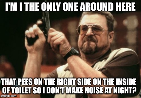 Am I The Only One Around Here Meme | I'M I THE ONLY ONE AROUND HERE THAT PEES ON THE RIGHT SIDE ON THE INSIDE OF TOILET SO I DON'T MAKE NOISE AT NIGHT? | image tagged in memes,am i the only one around here | made w/ Imgflip meme maker