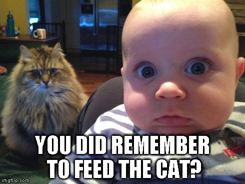 Baby vs MaineCoon | YOU DID REMEMBER TO FEED THE CAT? | image tagged in cats,baby | made w/ Imgflip meme maker