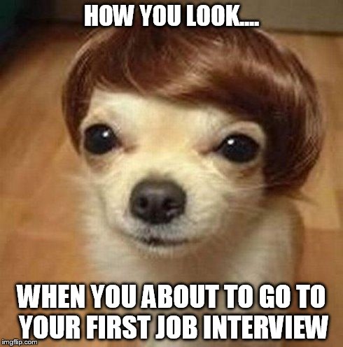 HOW YOU LOOK.... WHEN YOU ABOUT TO GO TO YOUR FIRST JOB INTERVIEW | image tagged in first job interview,funny memes,dog,haircut | made w/ Imgflip meme maker