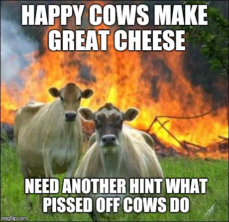 Evil Cows | HAPPY COWS MAKE GREAT CHEESE NEED ANOTHER HINT WHAT  PISSED OFF COWS DO | image tagged in memes,evil cows | made w/ Imgflip meme maker